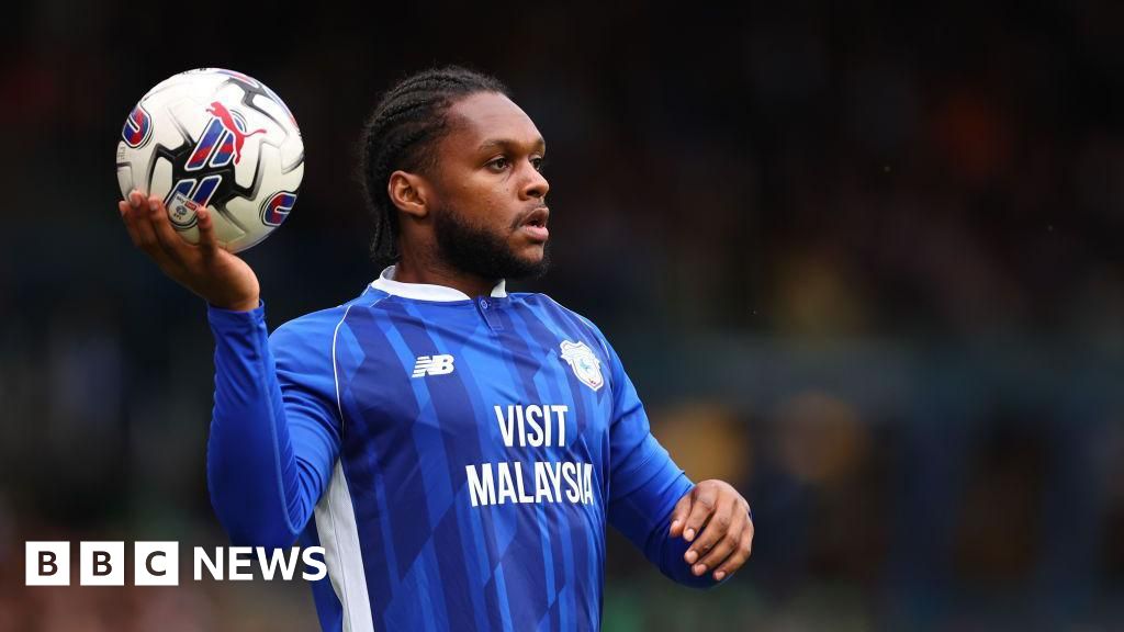 Cardiff's Romeo 'deeply regrets' homophobic comments