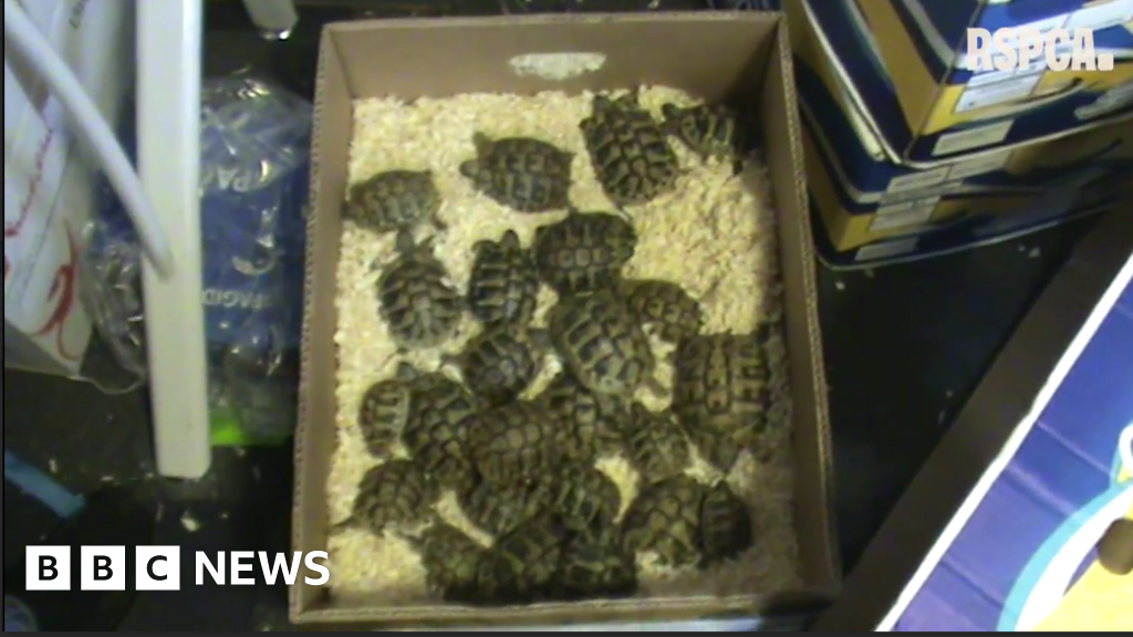 Man sentenced for mistreatment of exotic animals in Shropshire