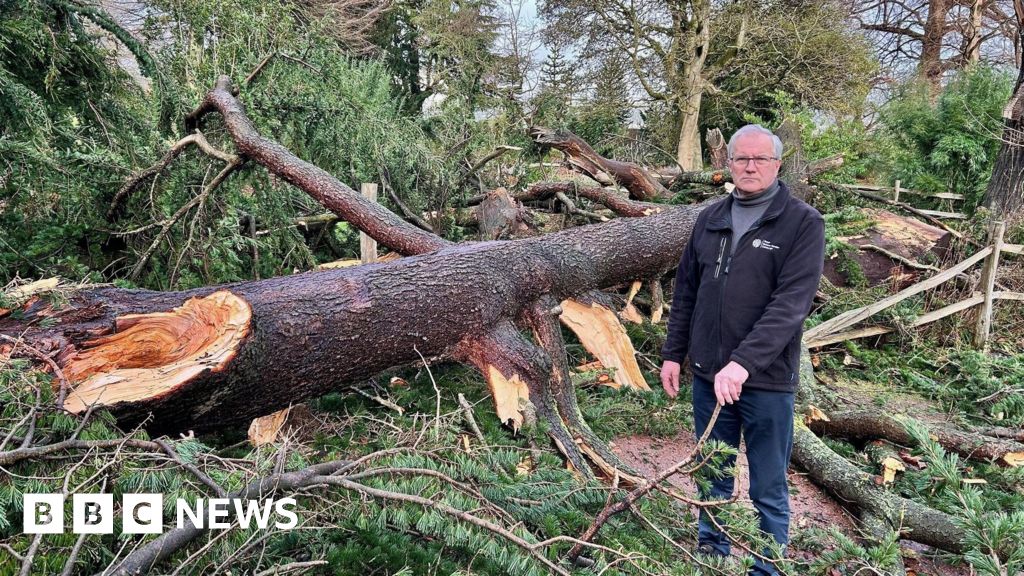 Staf kebun ‘hancur’ karena hilangnya pohon tertinggi di Edinburgh