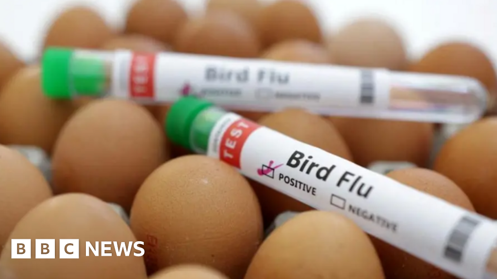 New Bird Flu Cases Confirmed in England, Iowa