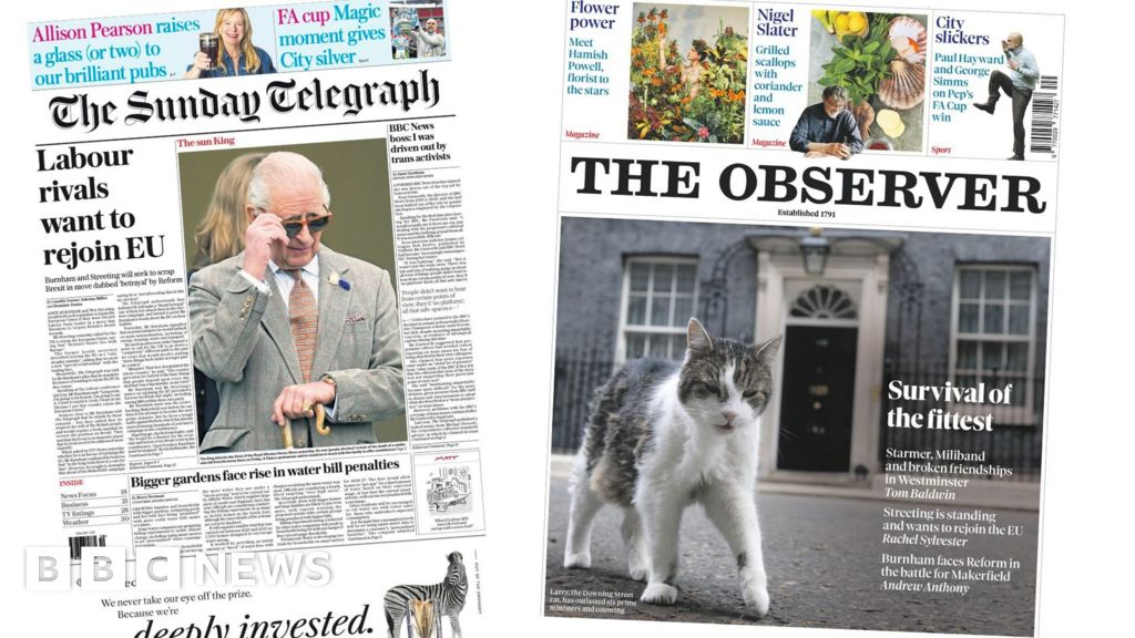 The Papers: 'Labour rivals want to rejoin EU' and 'survival of the fittest'