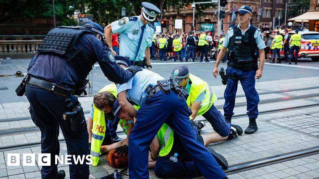 Sydney police to be investigated by watchdog after anti-Herzog protest violence thumbnail