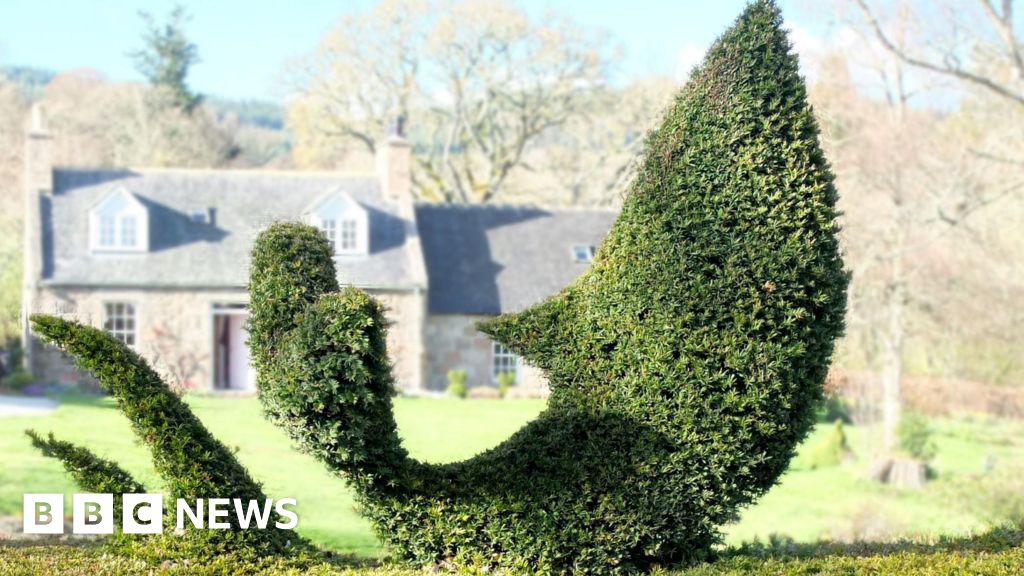 Scots gardener wins award for Moby Dick inspired hedge