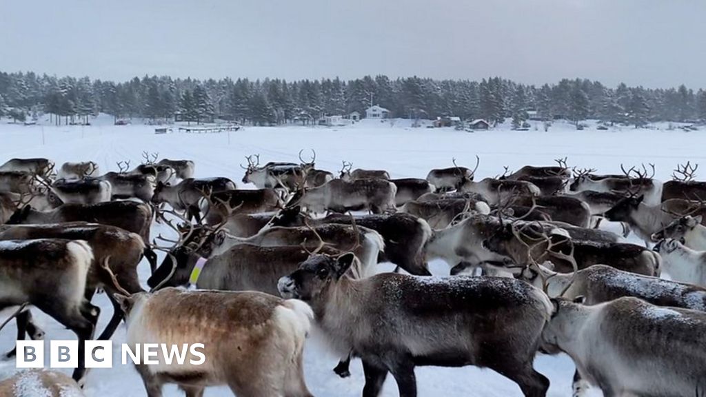 The Reindeer Herders Who Fear For Their Future    128051963 P0dq6vpk 