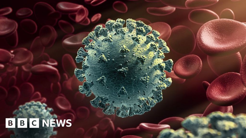 New coronavirus variant: What do we know?