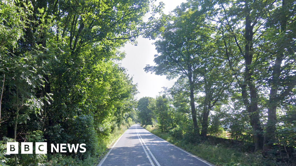 Four dead after car crashes into tree - News Headlines