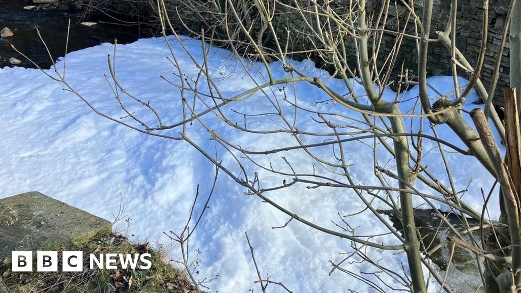River Bollin pollutant kills more than 100 fish BBC News
