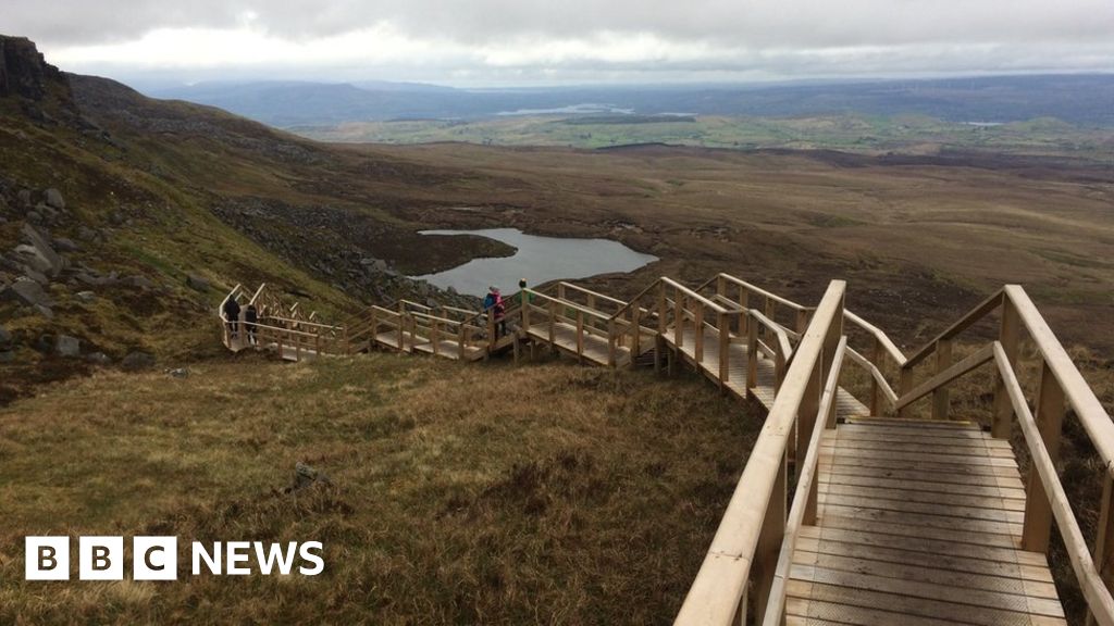 Platform — peatland in Derryfadda