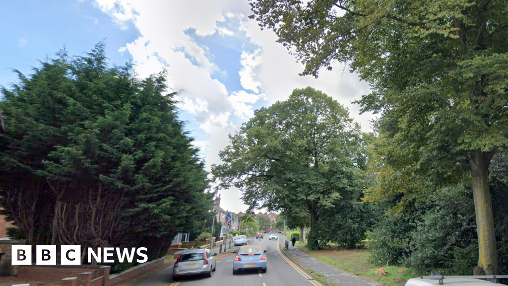 Woman arrested on suspicion of murder after two children found dead