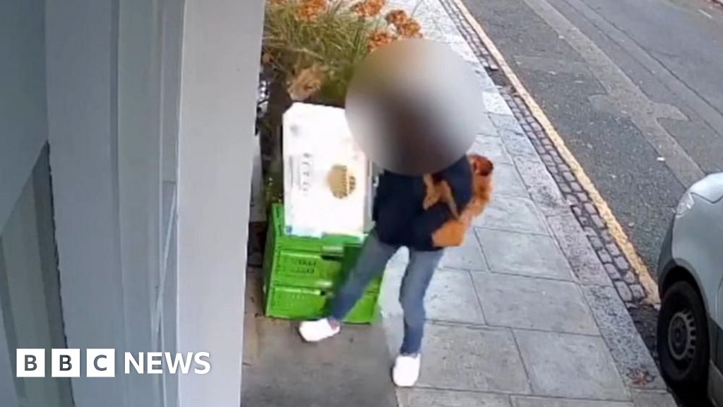 CCTV shows langoustine theft at Chelsea restaurant