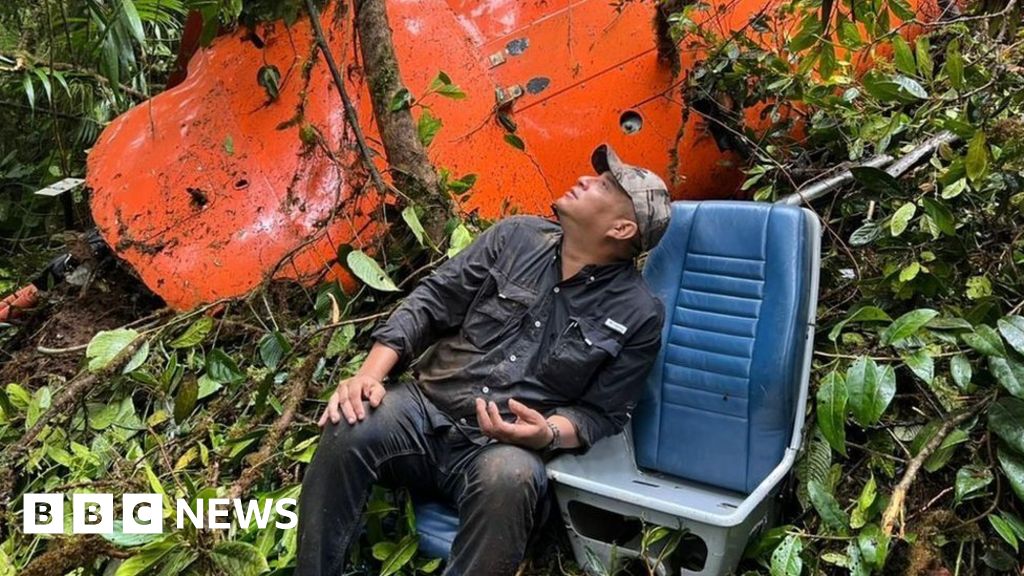 Panamanian politician posts SOS after crashing in jungle