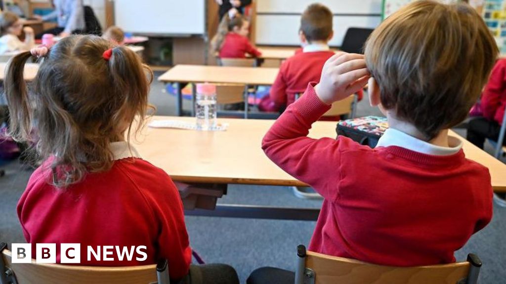 Scottish primary pupils should get hate speech warning - union