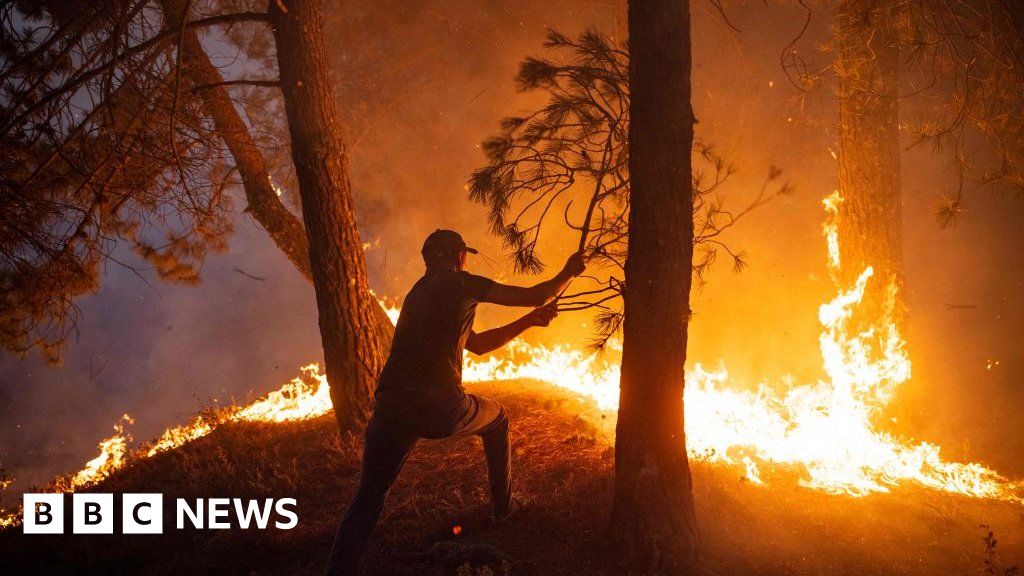 Heatwave: Are wildfires happening more often?