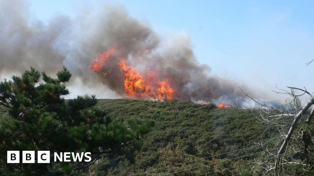 Jersey wildfire warning as spell of hot weather continues