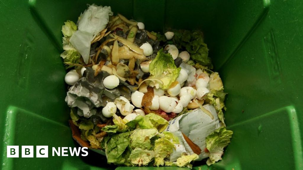 Hampshire and Dorset councils to get millions for food waste collection ...