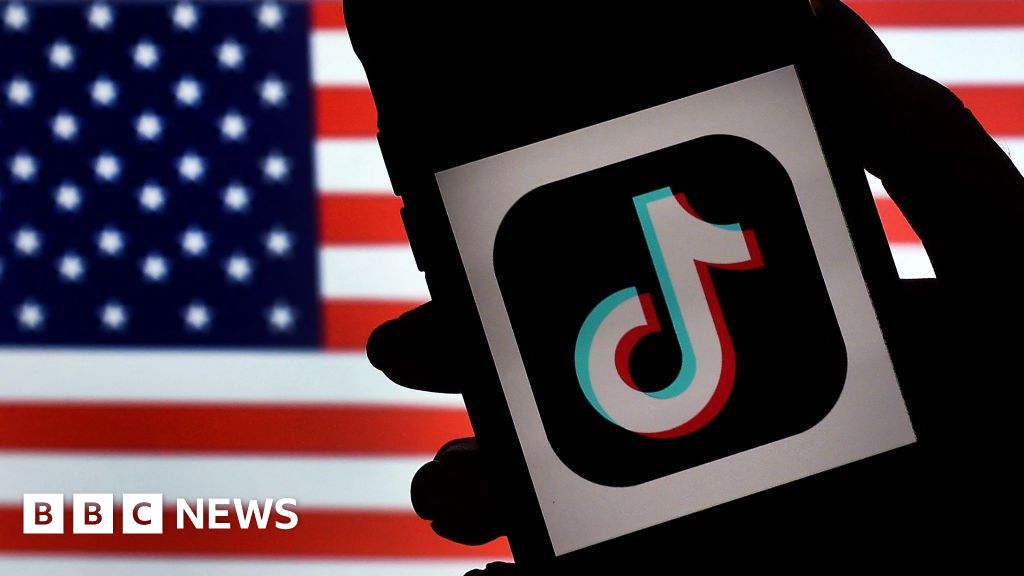 TikTok to teach influencers about US mid-term election rules