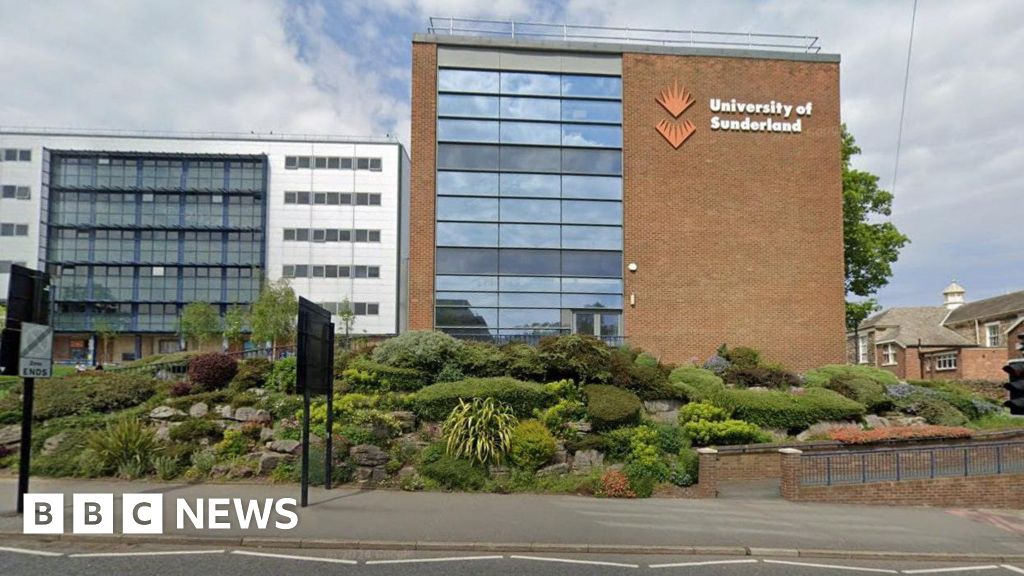 Sunderland University job cuts ‘demoralising’, academic says