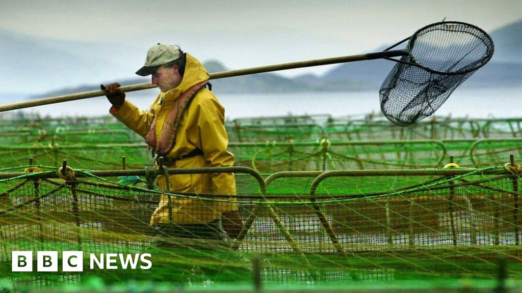 Marine Harvest to cut 34 jobs in Scotland