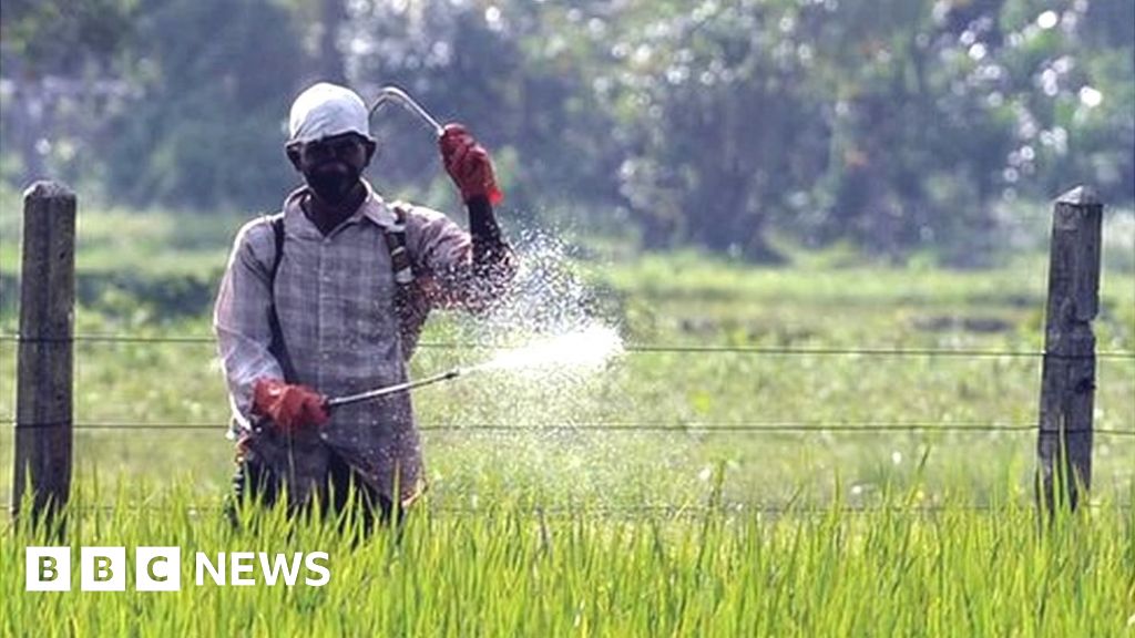 How to Kill You Mastering the Dark Art of Humor