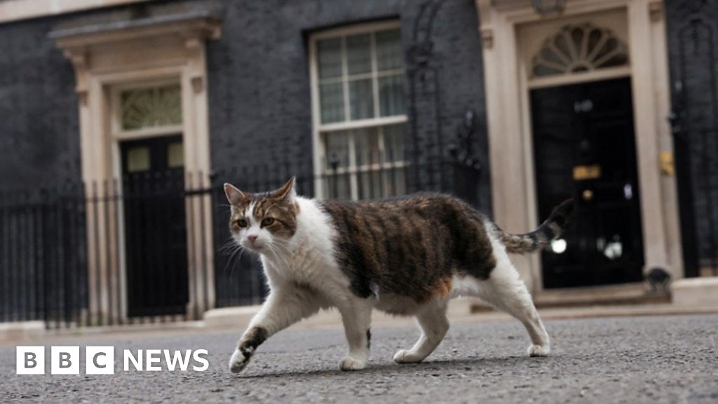 Boris Johnson: 48 hours of political chaos