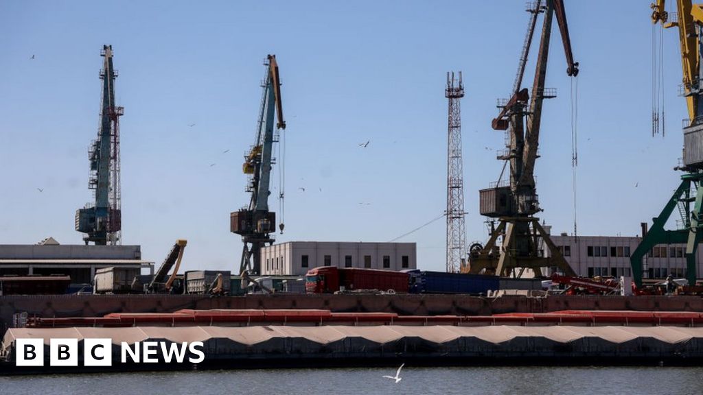 Ukraine war: Officials say work at grain ports resumes after deal