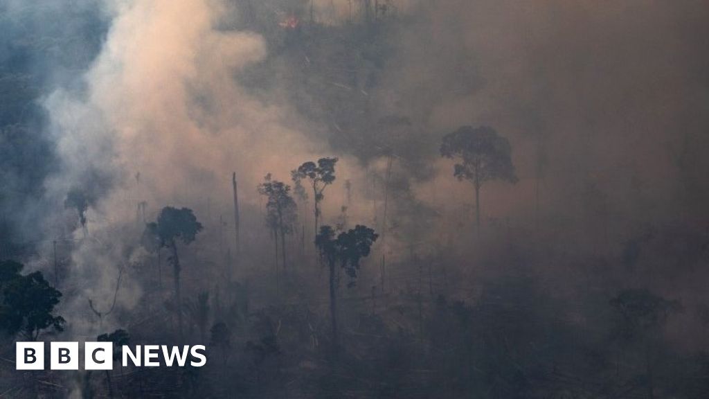 Amazon Fires: The Devastation Seen From Above - BBC News