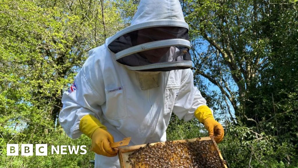 'Beekeeping helps me clear my mind and get better headspace'