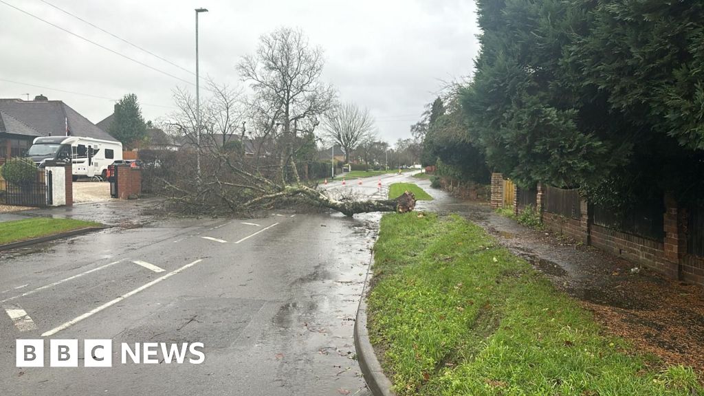 Storm Darragh Causes Widespread Damage and Cleanup