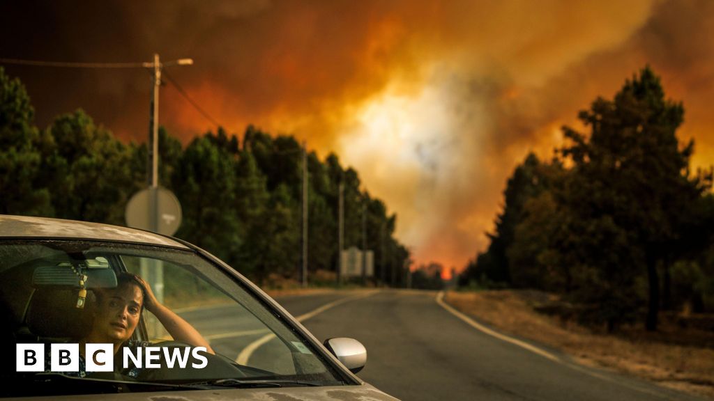 Spain at 'extreme risk' of new wildfires as 14 blazes spread