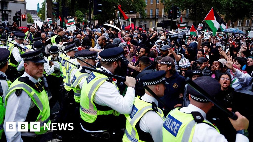 Police officers injured and 40 arrests at protest in Westminster