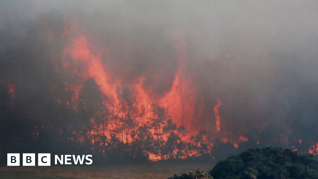 Scientists say four-day moorland blaze was UK's first megafire