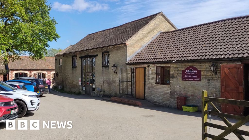 Man arrested on suspicion of attempted murder after boy injured in crocodile enclosure