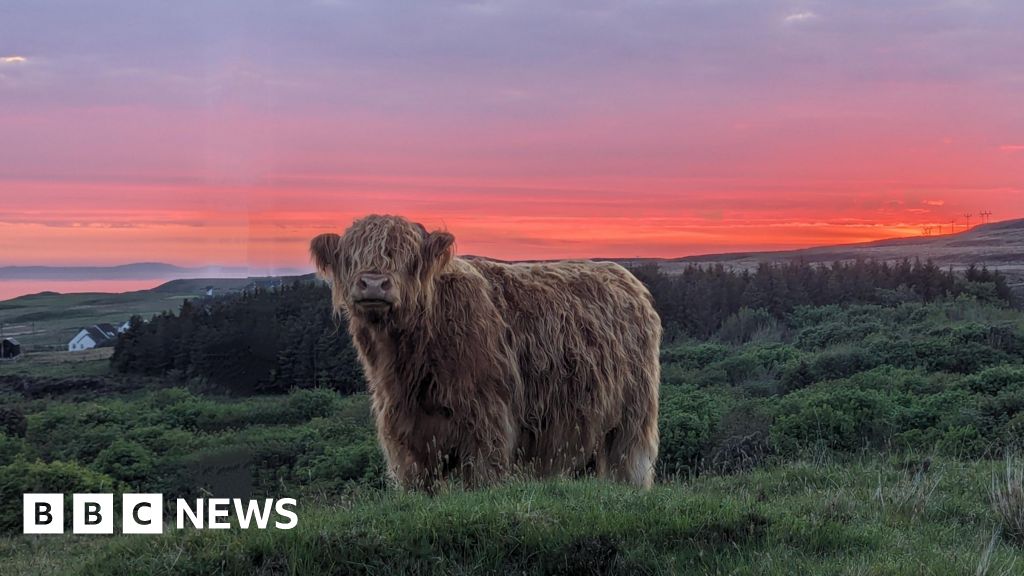 Your pictures of Scotland: Photographs from around the country – BBC News