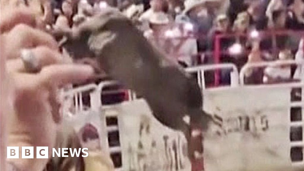 Rodeo bull escapes and hurls bystander into the air