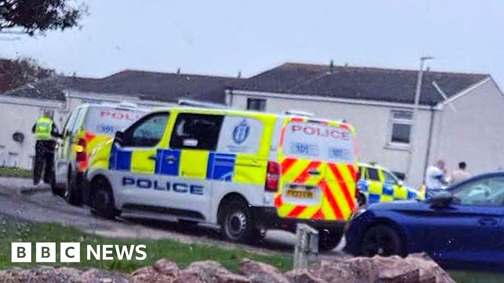 Dog destroyed after armed police attend attack on man and woman