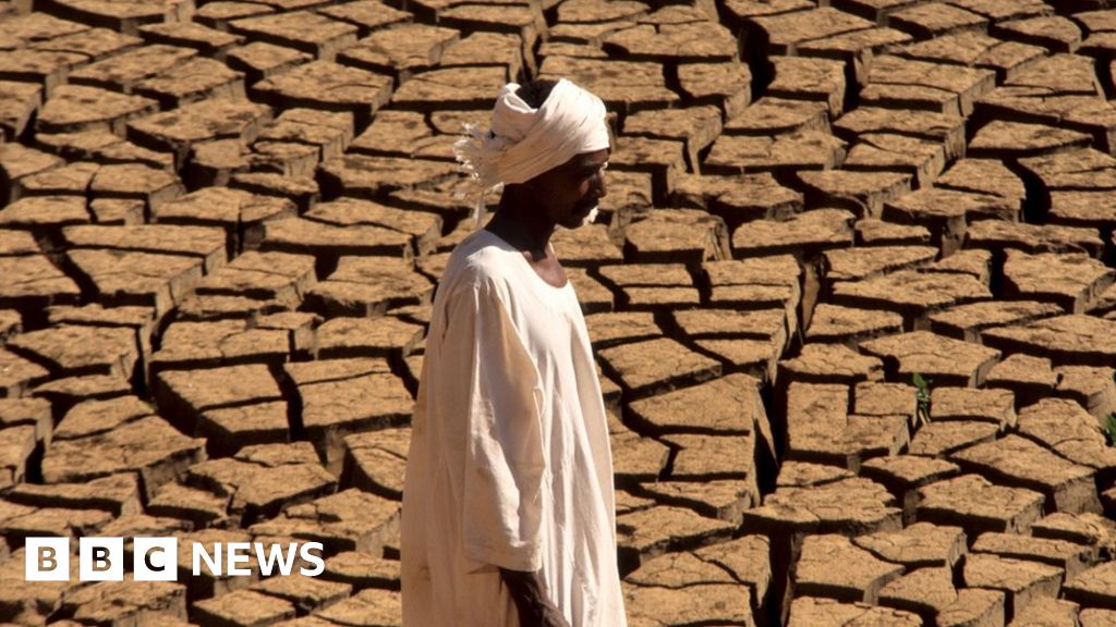 Climate change: More than 3bn could live in extreme heat by 2070