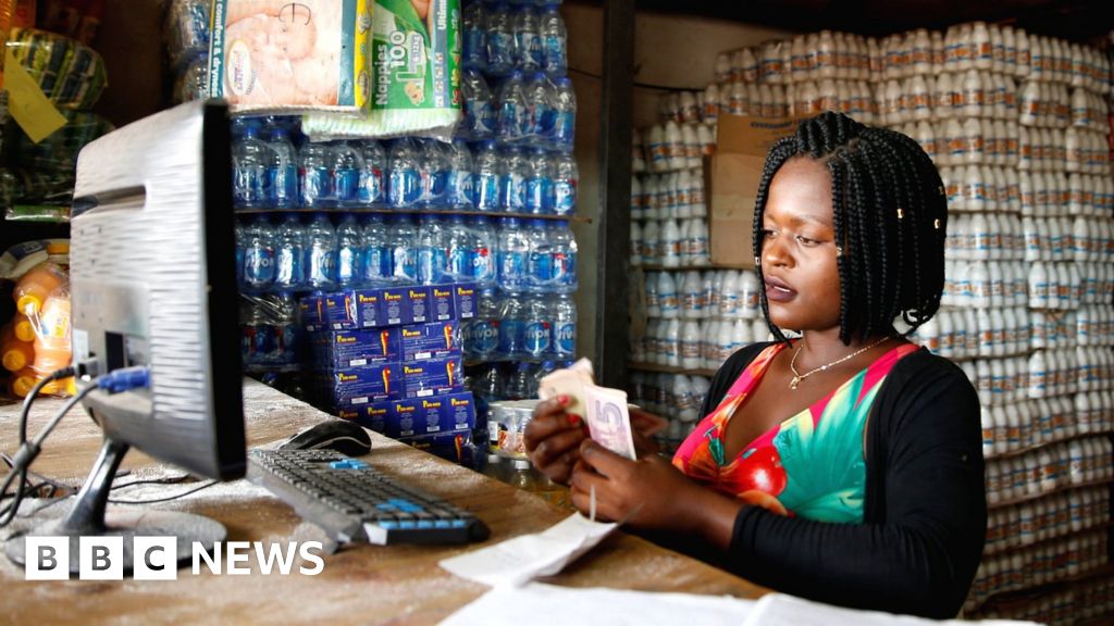 Zimbabwe sanctions Who is being targeted? BBC News