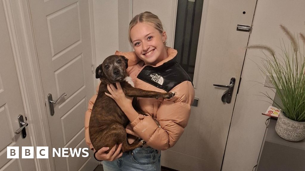 Meningitis B vaccinations calls after Pontypool student, 18, dies