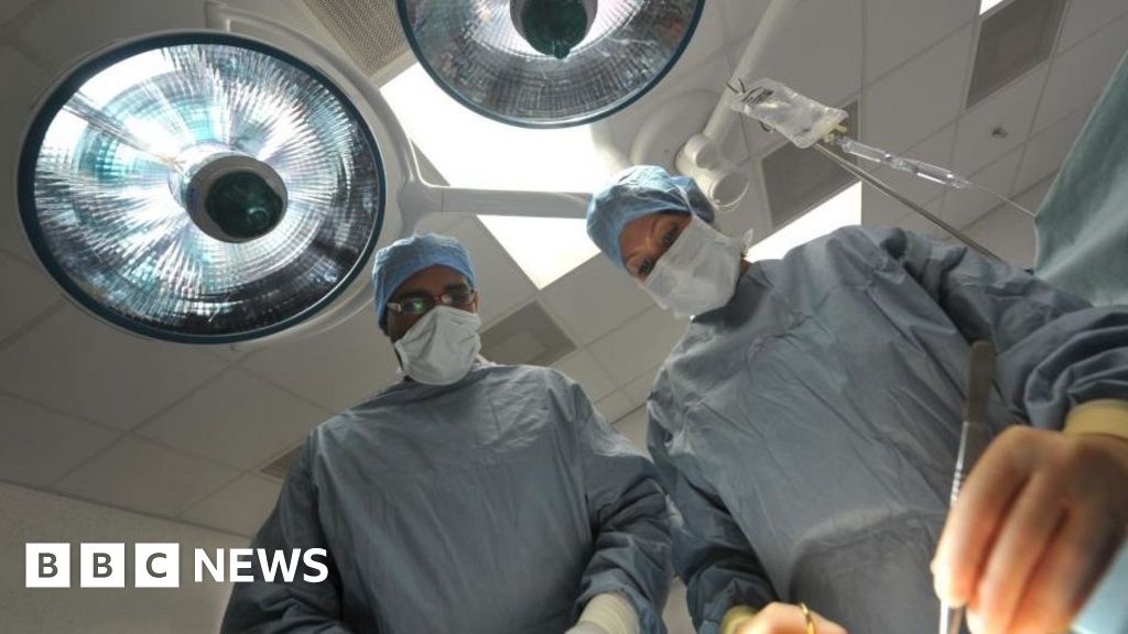Organ transplants for immortality: Might Xi and Putin be on to something?