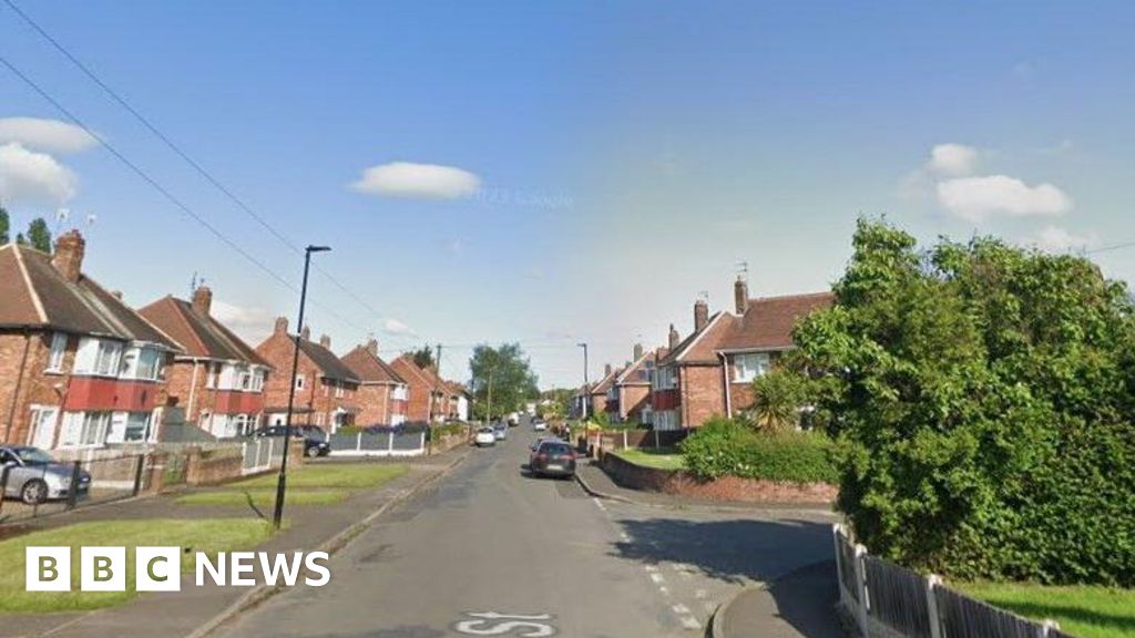 XL bully seized and two arrested after puppy mauled in Doncaster street