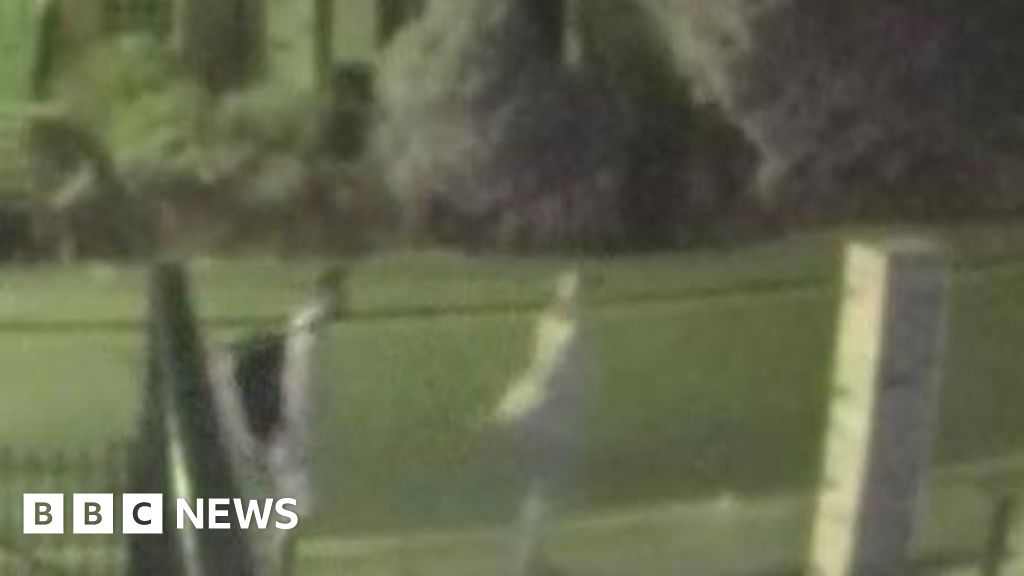 Police seek witnesses to Taunton rape investigation - BBC News