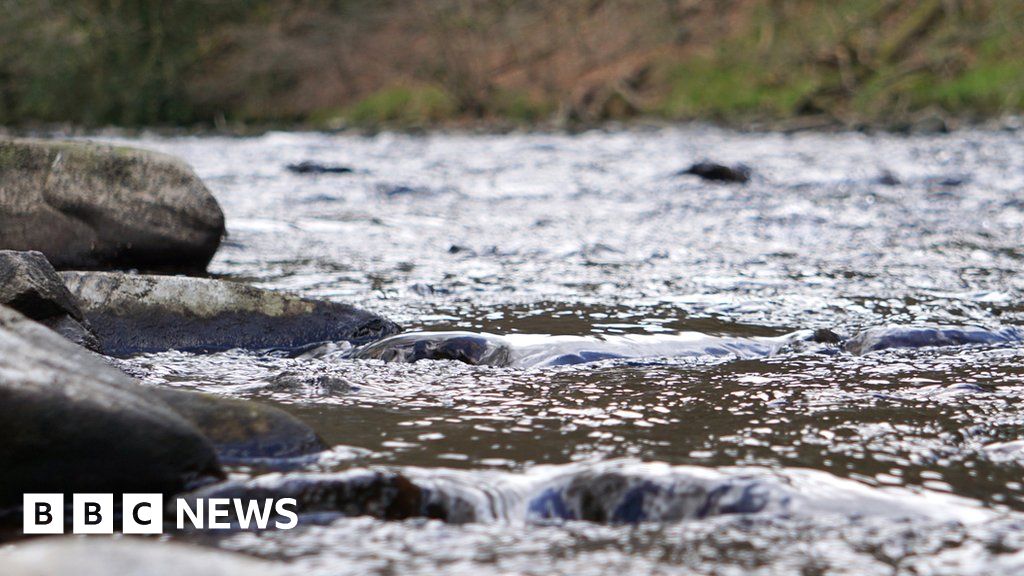 Woman dies after 'cold water therapy' in Derbyshire river