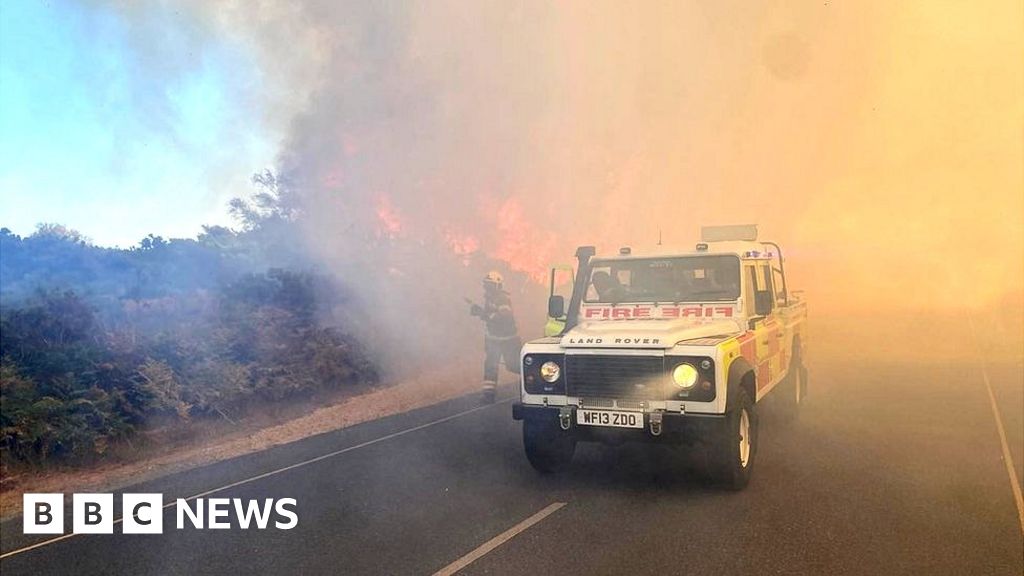 UK Heatwave: Studland fire caused by barbecue - fire service