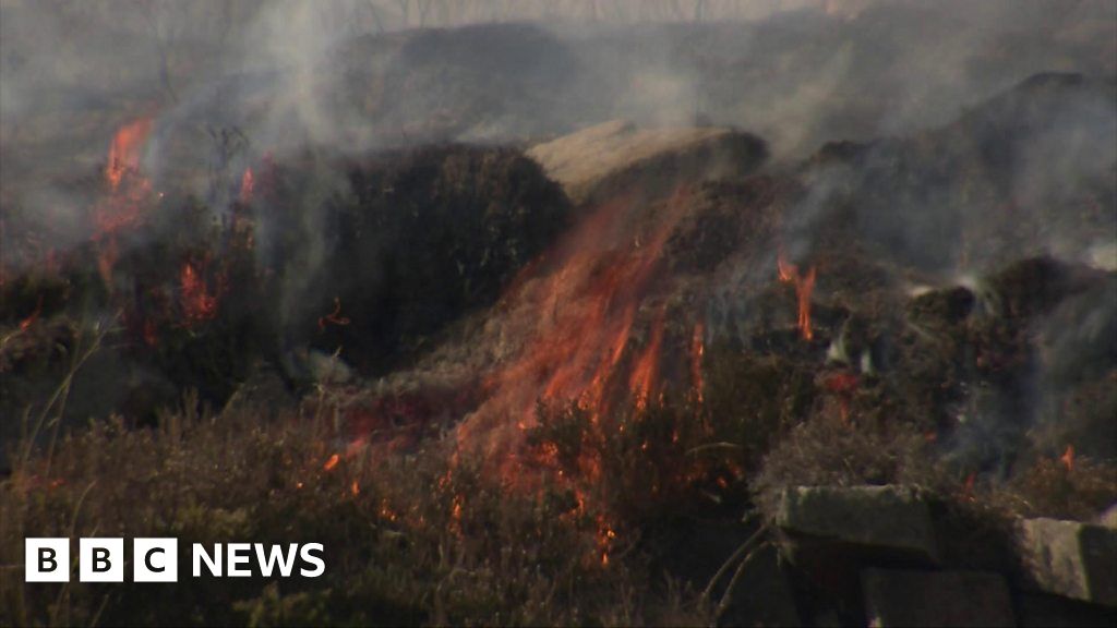 Most wildfires in Mournes 'started deliberately' - BBC News