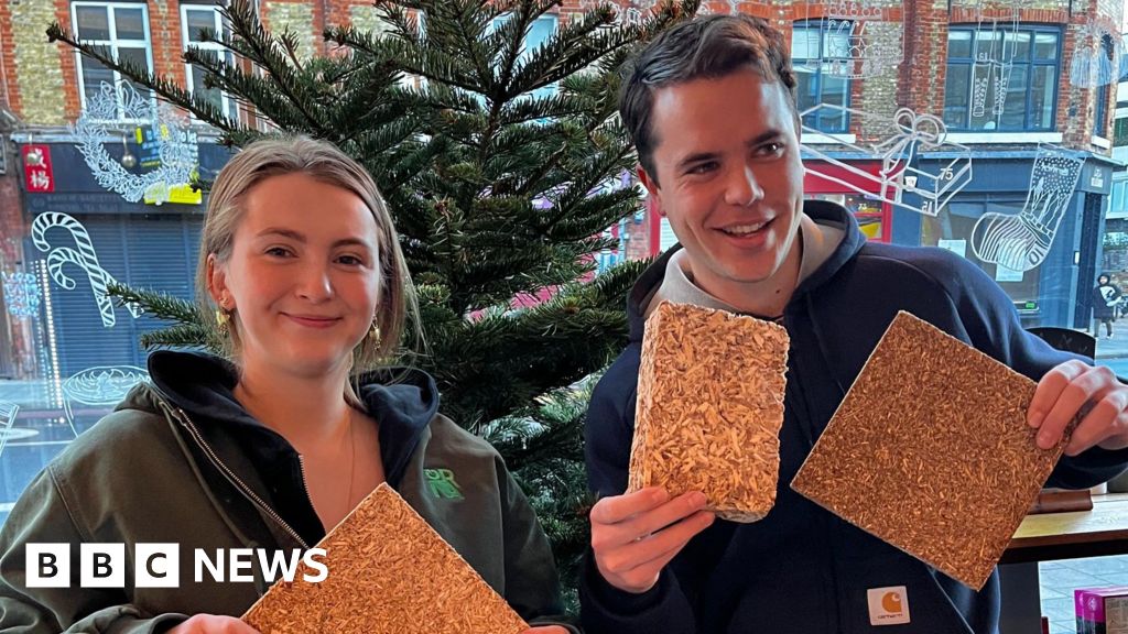 How Christmas trees are getting a new lease of life