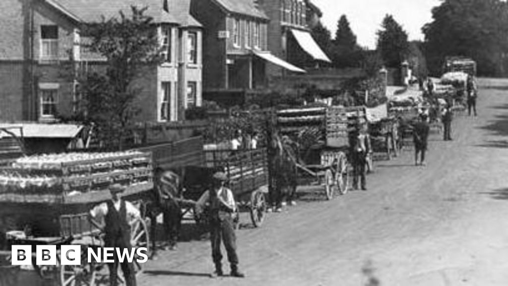 bbc.co.uk - Stephen Stafford - Strawberry fields - Hampshire's summer fruit heyday