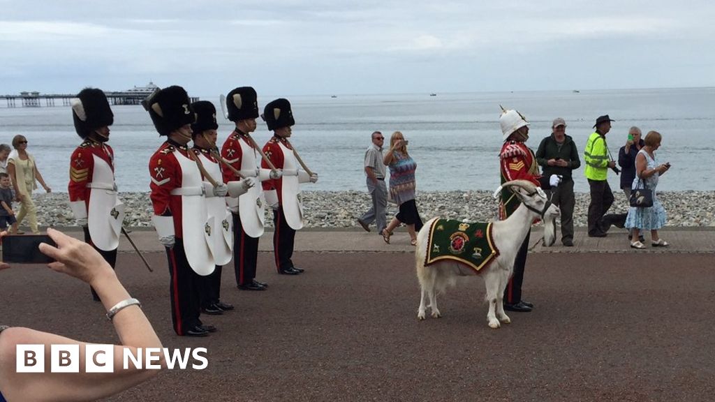Regimental Goat Joins Royal Welsh Parade In Llandudno Bbc News 4990