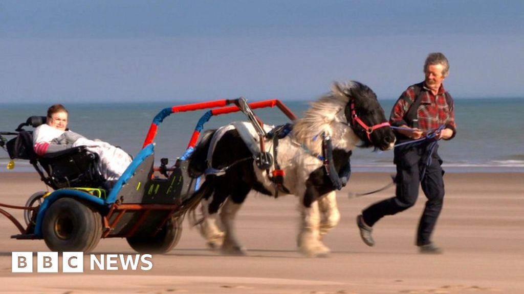 Pony in action