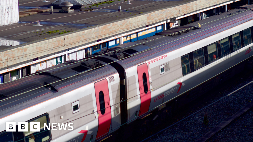 Fallen tree causes major West Midlands rail disruption