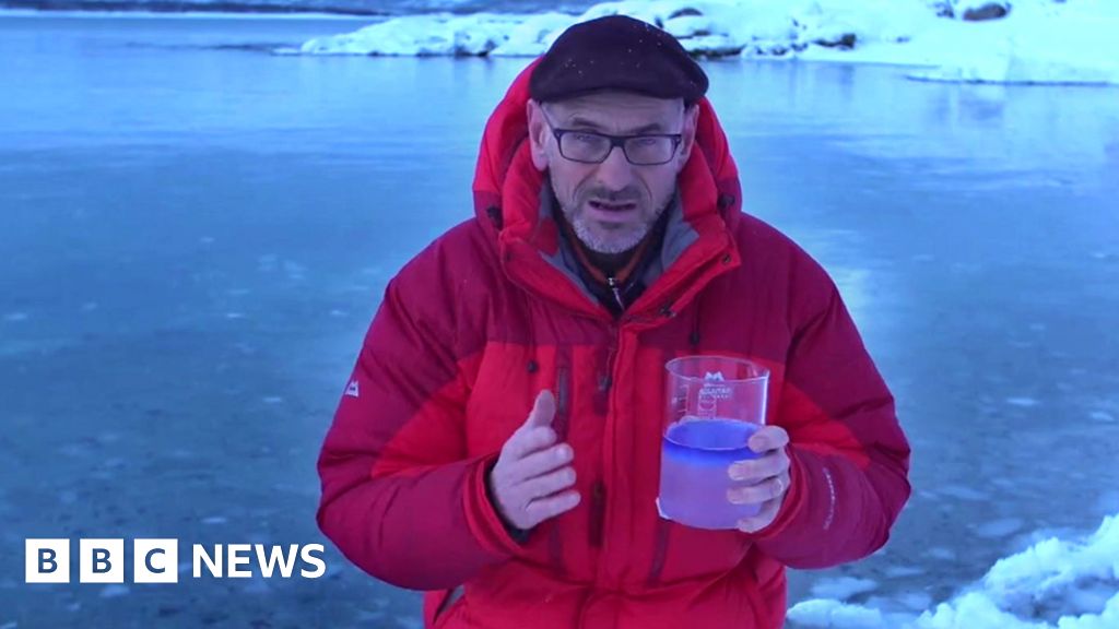 How warmer waters threaten Arctic Ocean life